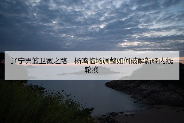 liao-ning-nan-lan-wei-mian-zhi-lu-yang-ming-lin-chang-tiao-zheng-ru-he-po-jie-xin-jiang-nei-xian-lun-huan-2-341.jpg