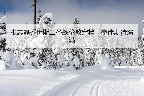 zhang-zhi-lei-qiao-yi-si-er-fan-zhan-lun-dun-ding-dang-quan-mi-qi-dai-bao-man-3-817.jpg