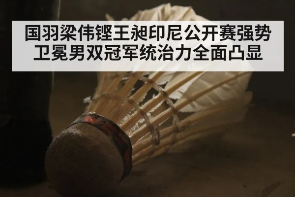 国羽梁伟铿王昶印尼公开赛强势卫冕男双冠军统治力全面凸显
