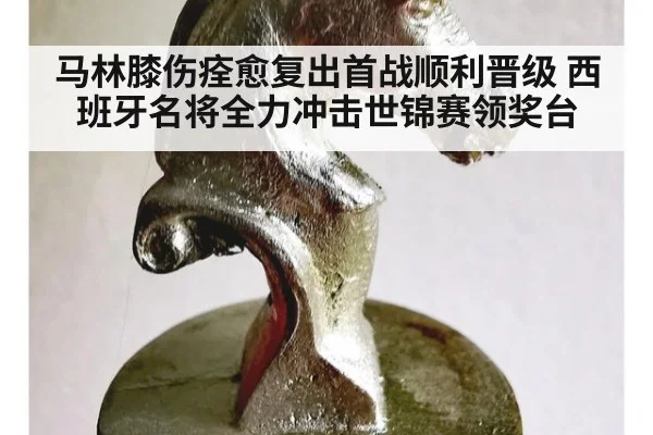 马林膝伤痊愈复出首战顺利晋级 西班牙名将全力冲击世锦赛领奖台